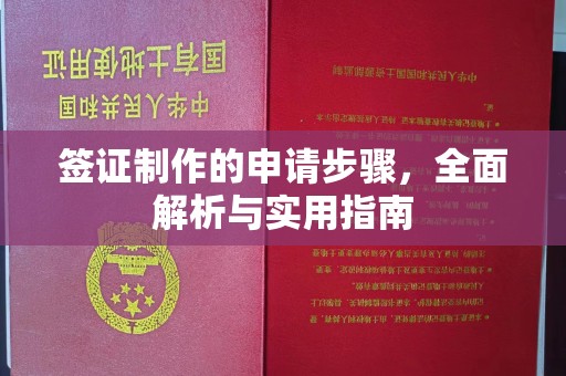 柳营签证制作的申请步骤，全面解析与实用指南